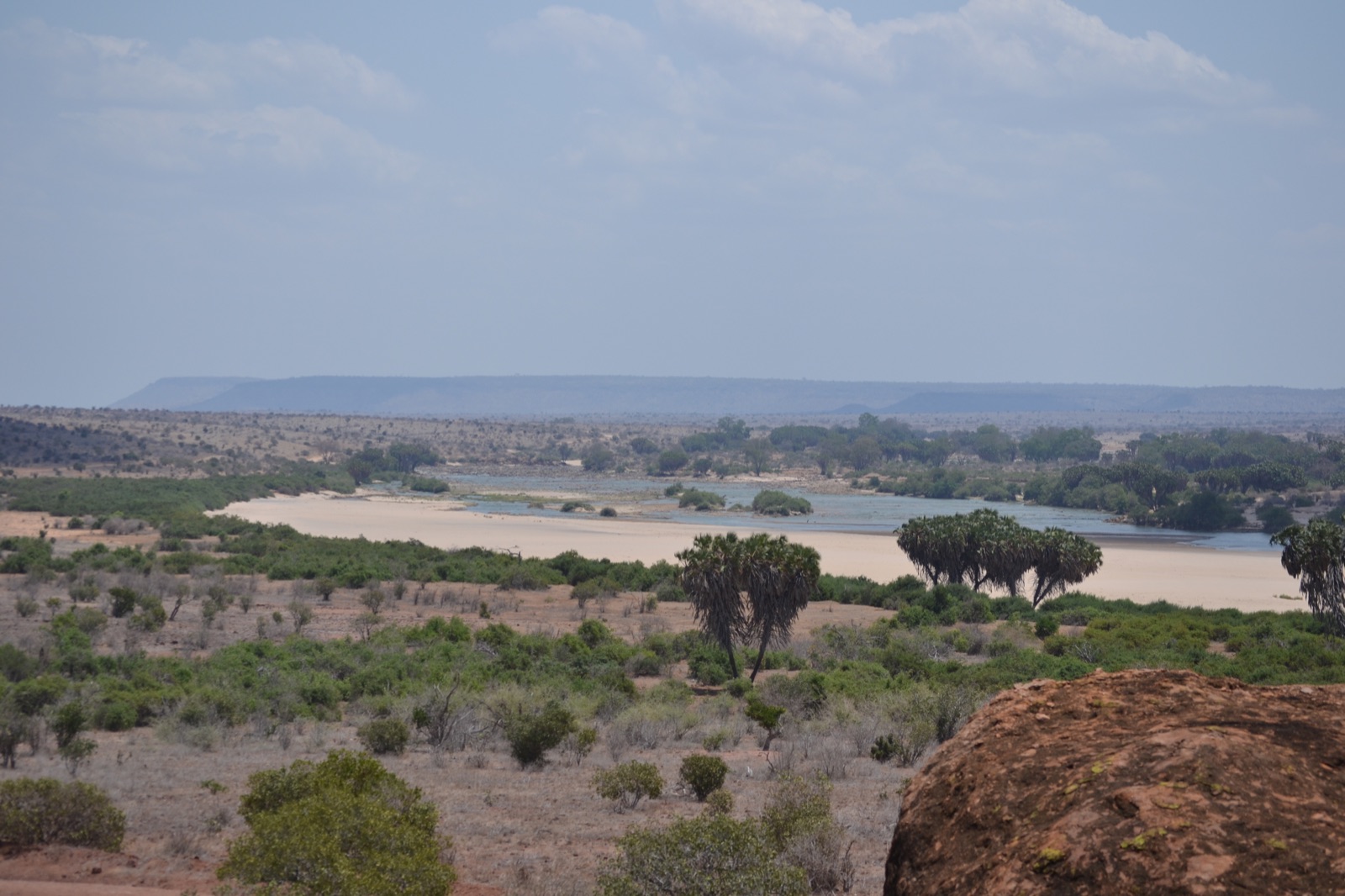 River cutting through dry terrain with scattered trees